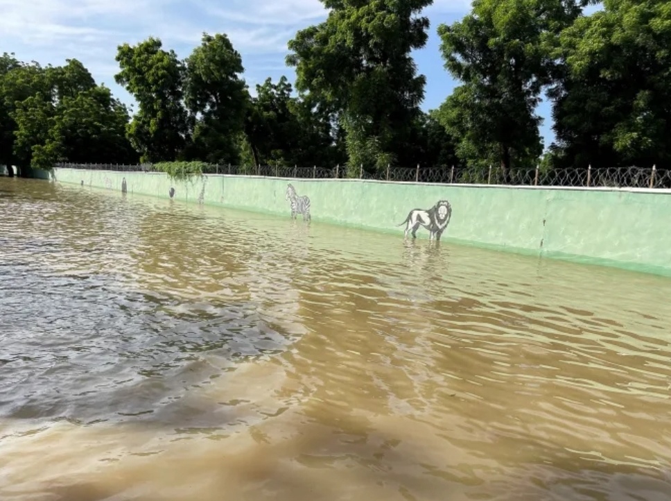 Floods gush through Nigerian Zoo, Sweeping Snakes and Crocodiles into&nbsp; Neighbourhood