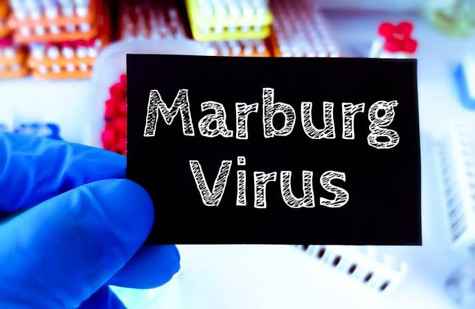 Marburg Virus Outbreak In Rwanda:What you need to know.