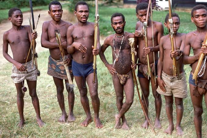 The Bambuti, The Shortest Group of People in Africa